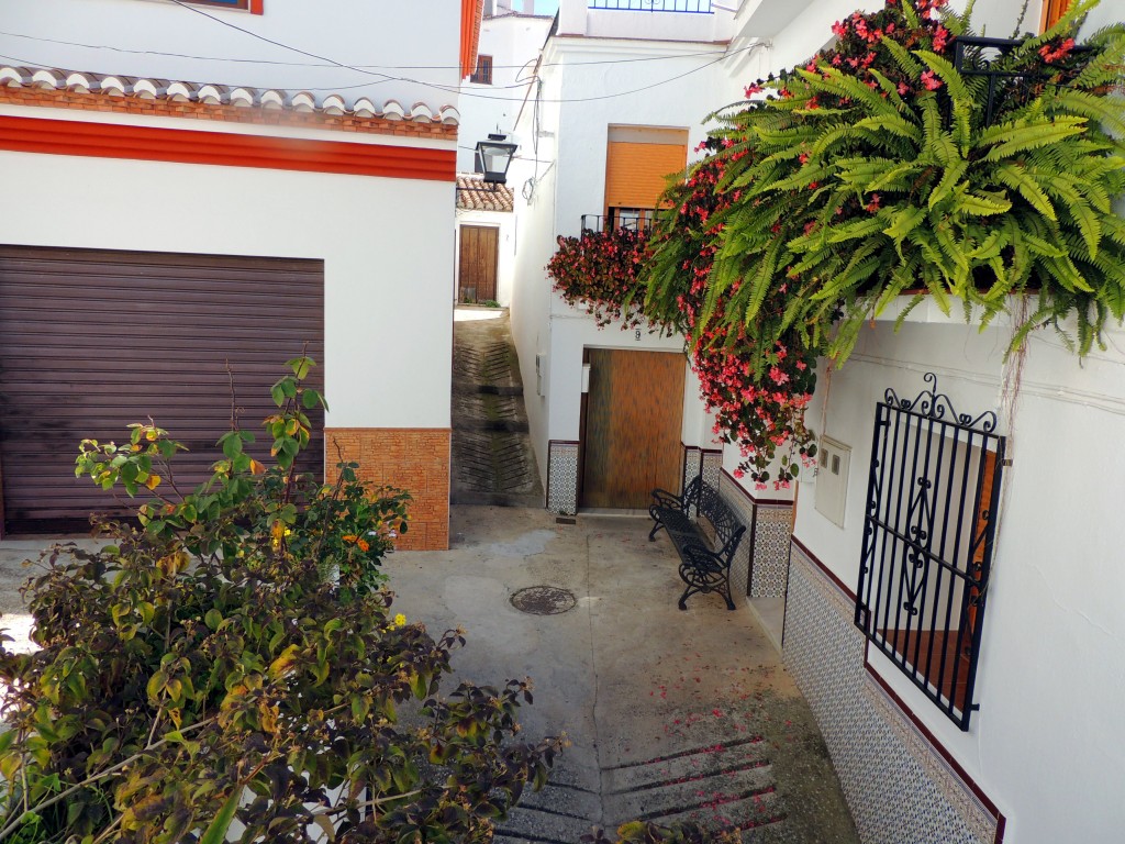 Foto de Sayalonga (Málaga), España