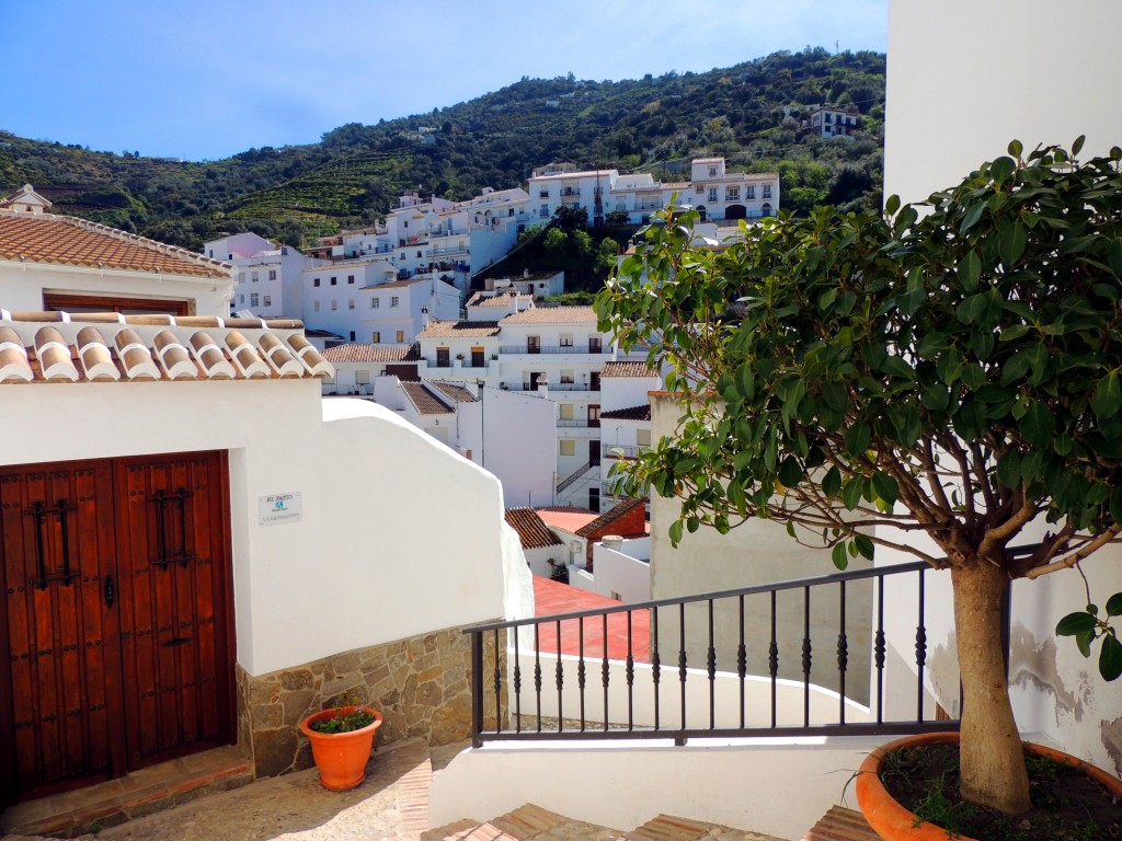 Foto de Sayalonga (Málaga), España