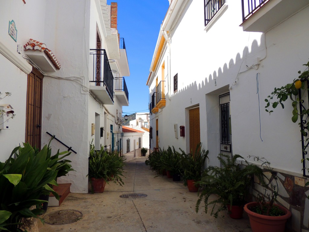 Foto de Sayalonga (Málaga), España