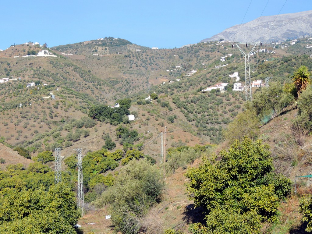 Foto de Sayalonga (Málaga), España