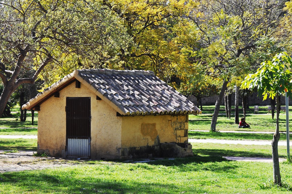 Foto: Jardin del Turia - Valencia (València), España