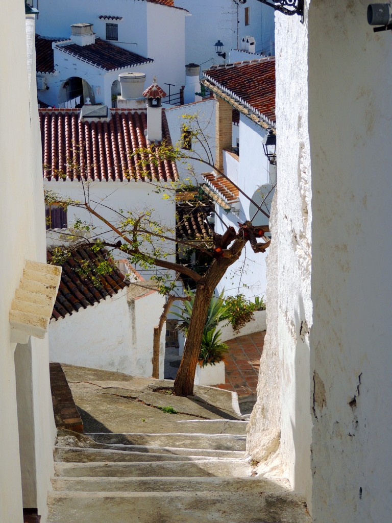 Foto de Sedella (Málaga), España