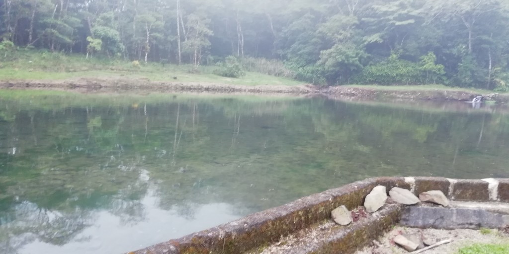 Foto: Truchas NENE - Bajos del Toro (Alajuela), Costa Rica