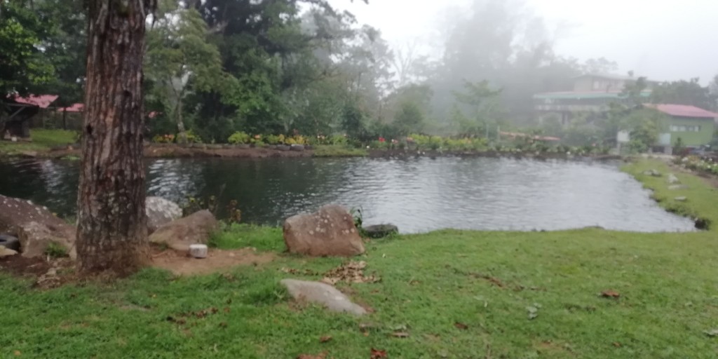 Foto: Truchas NENE - Bajo del Toro (Alajuela), Costa Rica