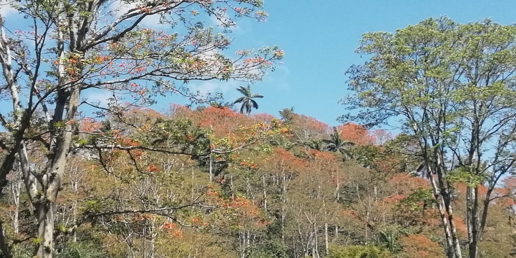 Foto de Purisil (Cartago), Costa Rica