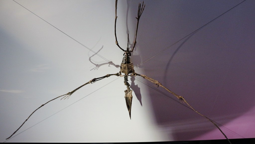 Foto: Dinópolis - Teruel (Aragón), España