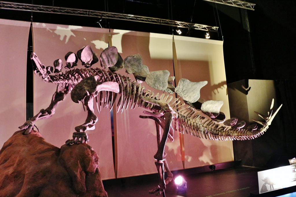 Foto: Dinópolis - Teruel (Aragón), España