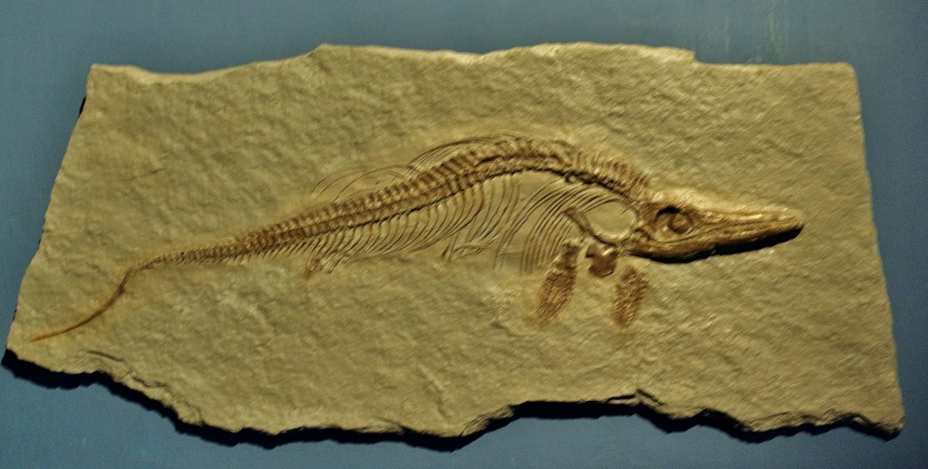 Foto: Dinópolis - Teruel (Aragón), España