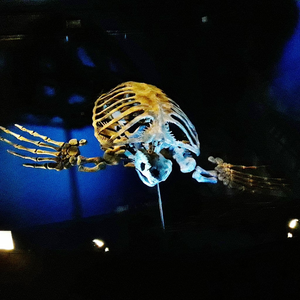 Foto: Dinópolis - Teruel (Aragón), España