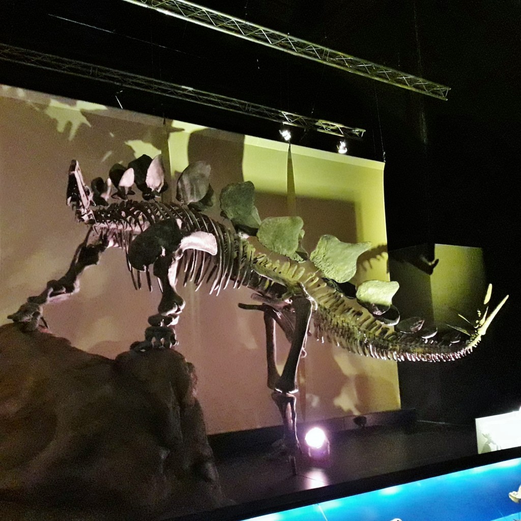 Foto: Dinópolis - Teruel (Aragón), España