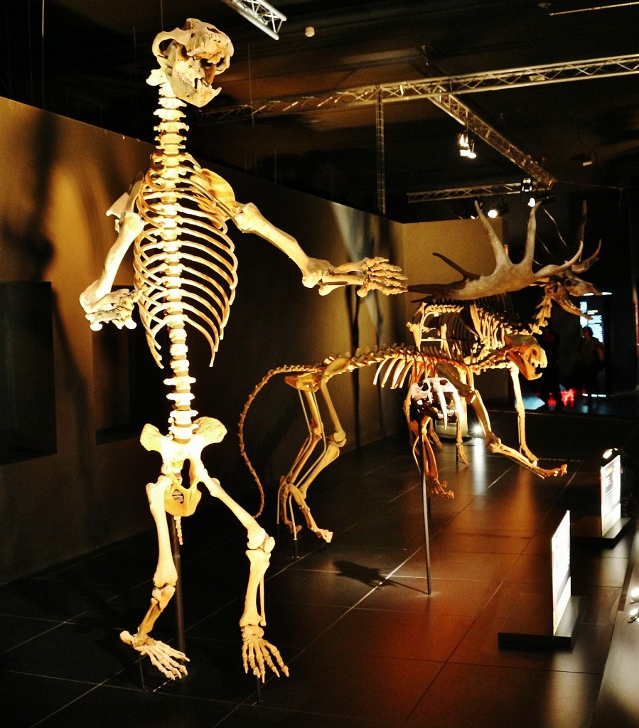 Foto: Dinópolis - Teruel (Aragón), España