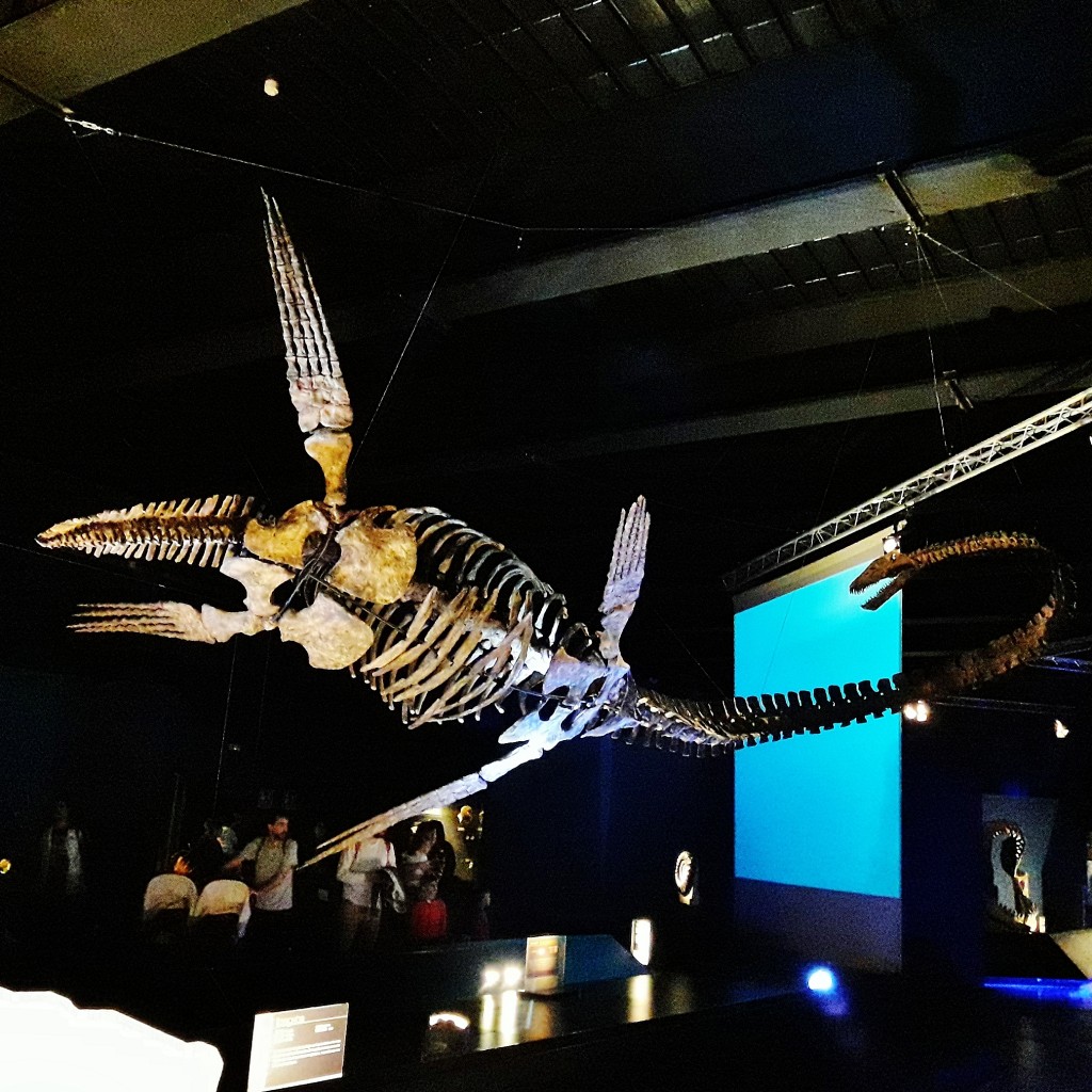 Foto: Dinópolis - Teruel (Aragón), España