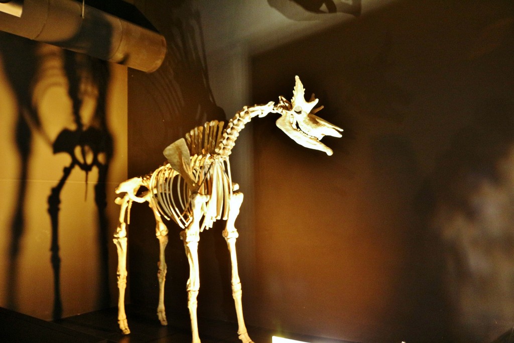 Foto: Dinópolis - Teruel (Aragón), España