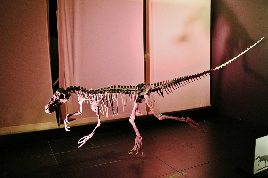 Foto: Dinópolis - Teruel (Aragón), España