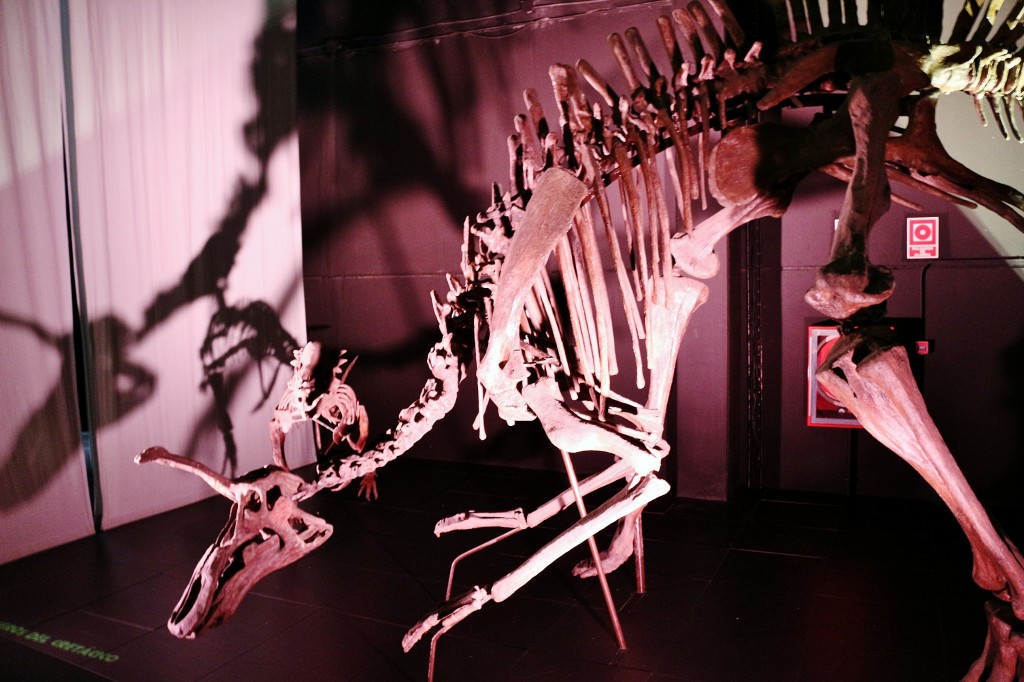 Foto: Dinópolis - Teruel (Aragón), España