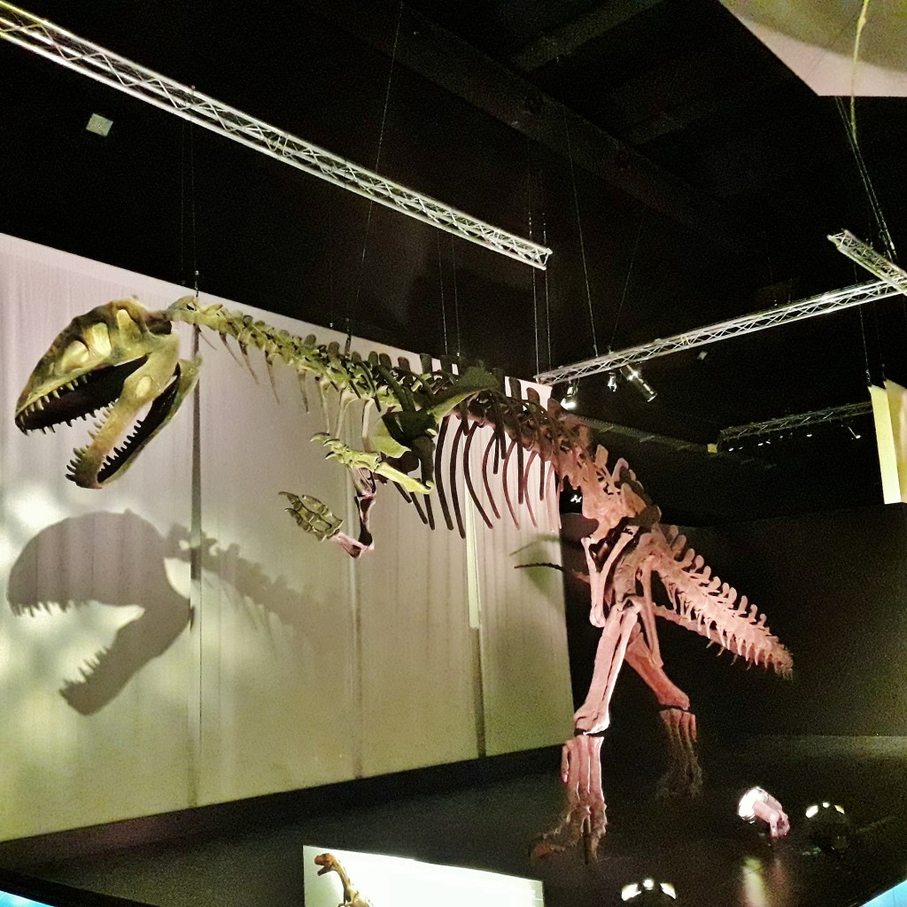 Foto: Dinópolis - Teruel (Aragón), España