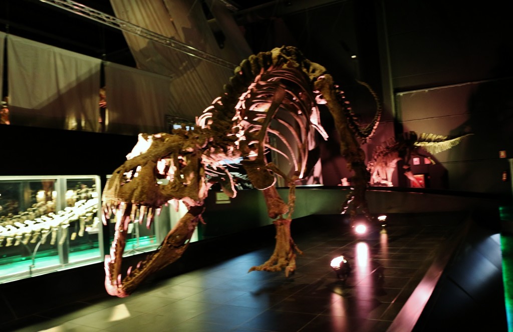 Foto: Dinópolis - Teruel (Aragón), España