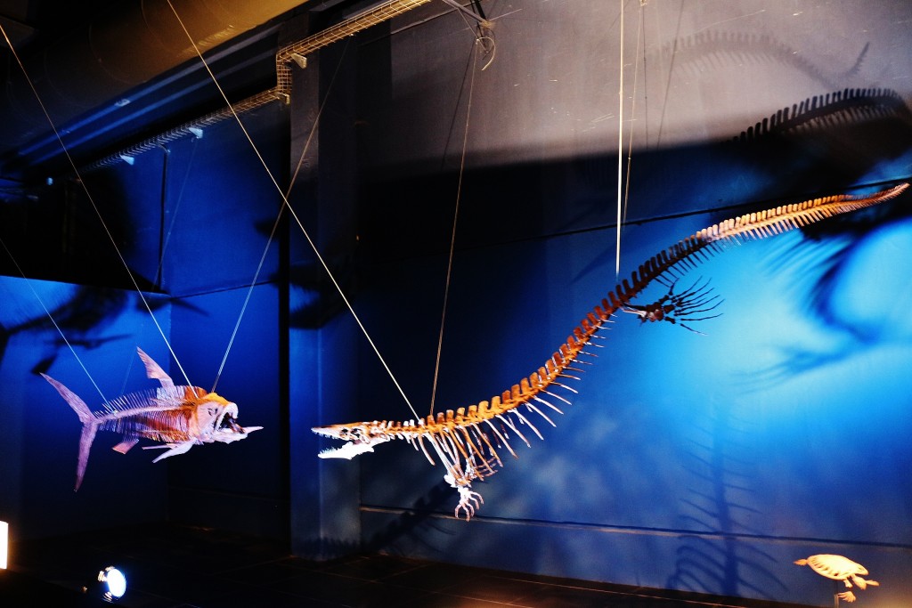 Foto: Dinópolis - Teruel (Aragón), España