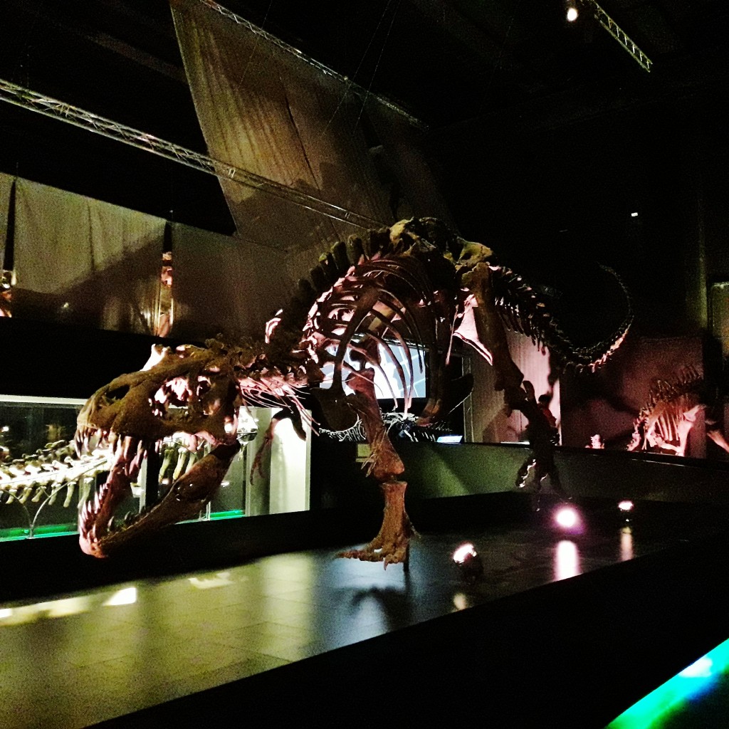 Foto: Dinópolis - Teruel (Aragón), España