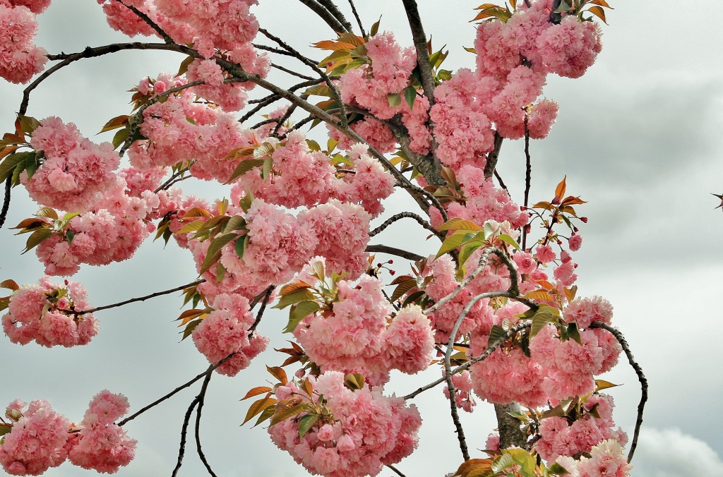 Foto: Parque temático del Mudéjar - Olmedo (Valladolid), España