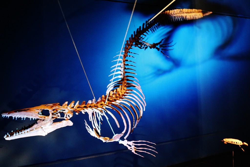 Foto: Dinópolis - Teruel (Aragón), España