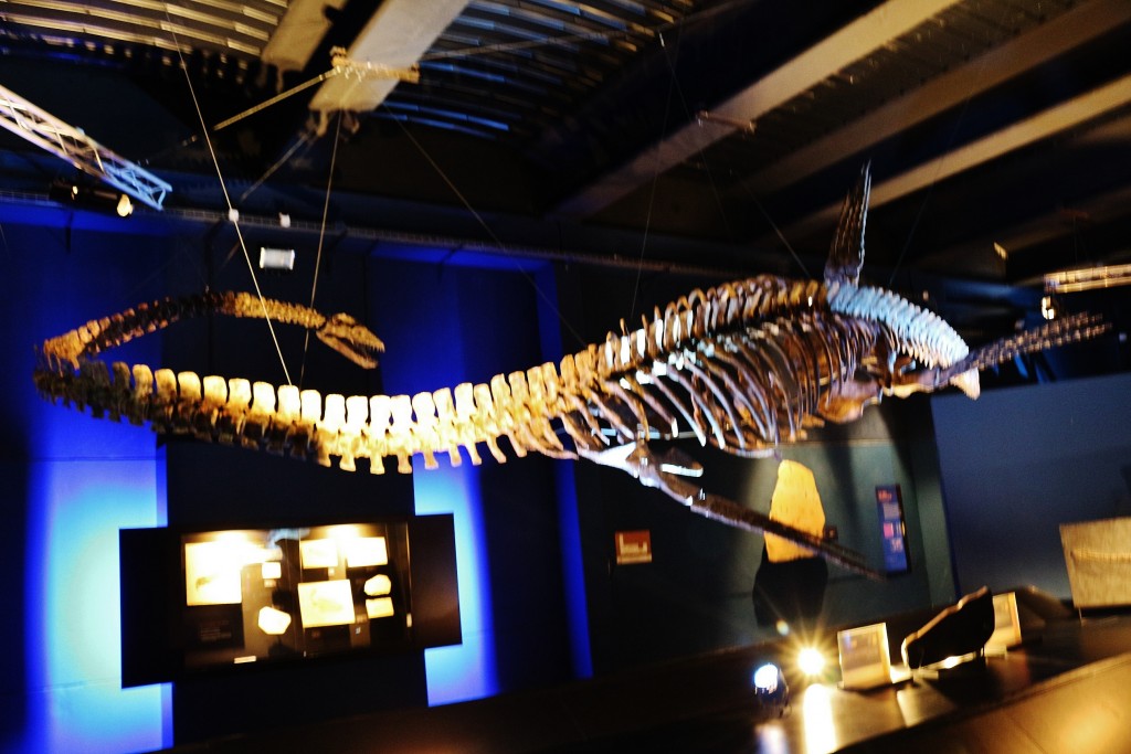 Foto: Dinópolis - Teruel (Aragón), España