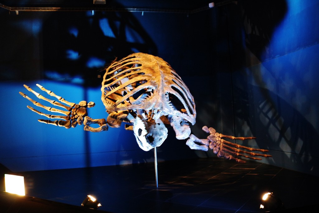 Foto: Dinópolis - Teruel (Aragón), España