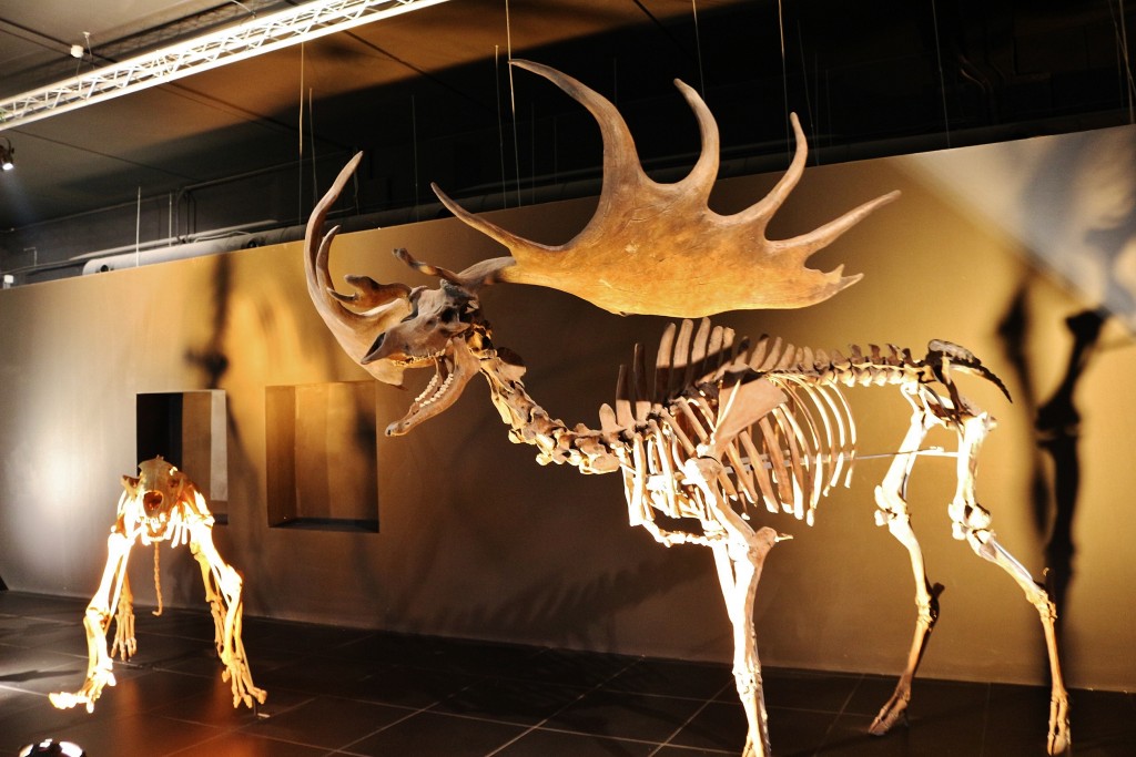 Foto: Dinópolis - Teruel (Aragón), España