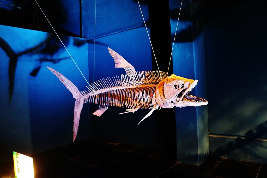 Foto: Dinópolis - Teruel (Aragón), España