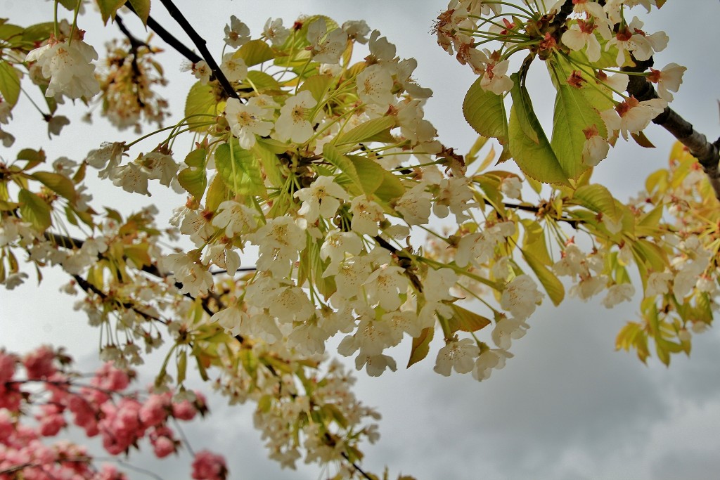 Foto: Parque temático del Mudéjar - Olmedo (Valladolid), España
