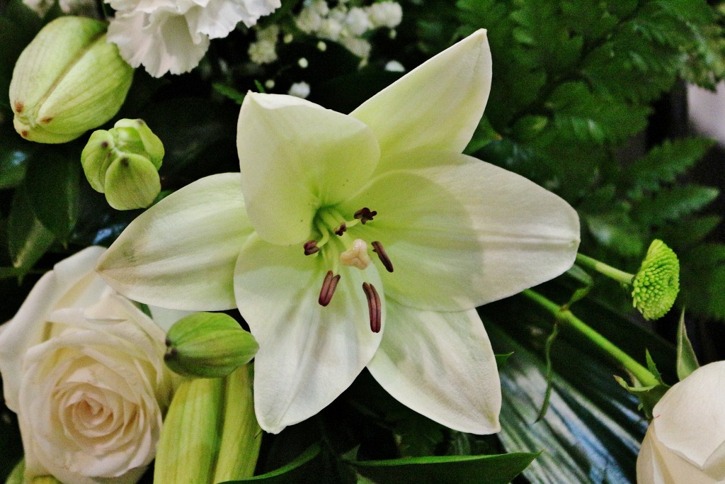 Foto: Un poco de color - Olmedo (Valladolid), España