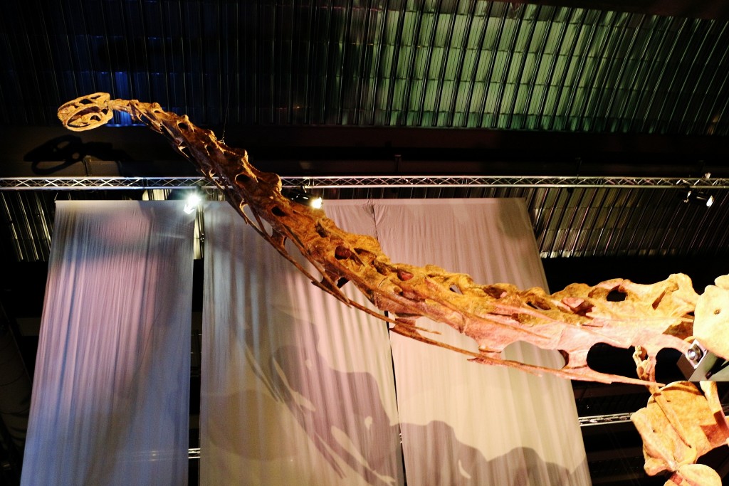 Foto: Dinópolis - Teruel (Aragón), España