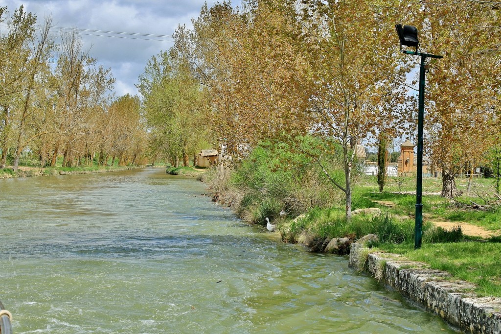 Foto: Canal de Castilla - Medina de Rioseco (Valladolid), España
