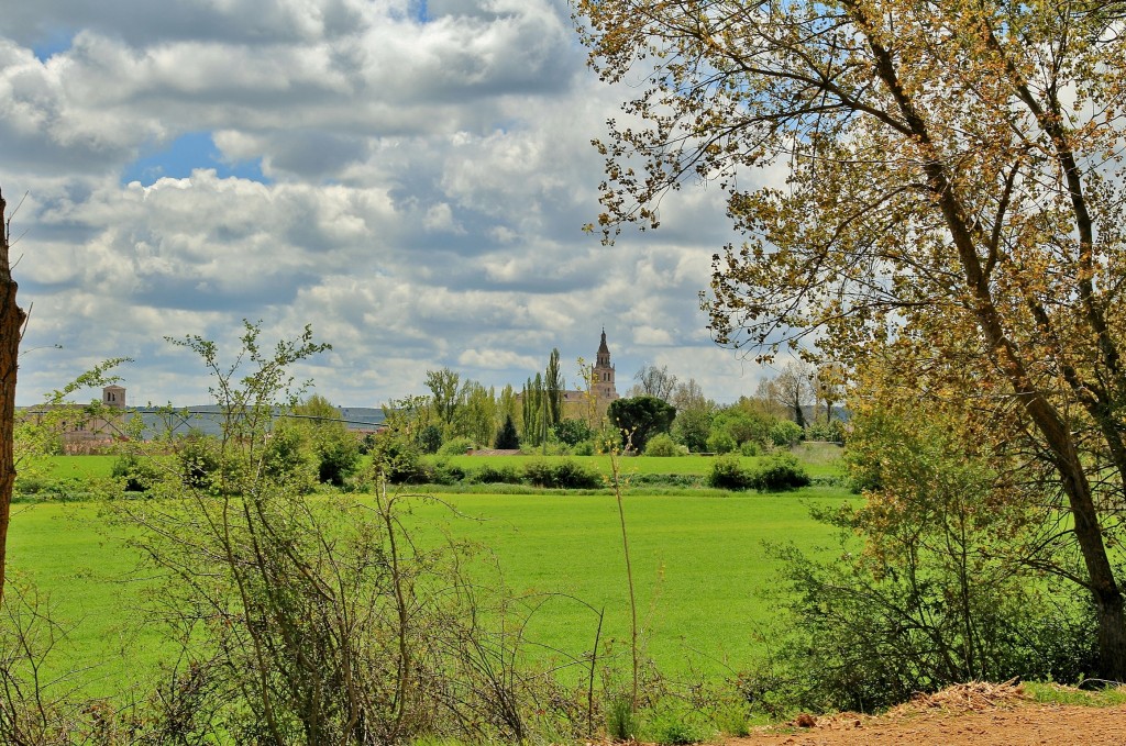 Foto: Canal de Castilla - Medina de Rioseco (Valladolid), España