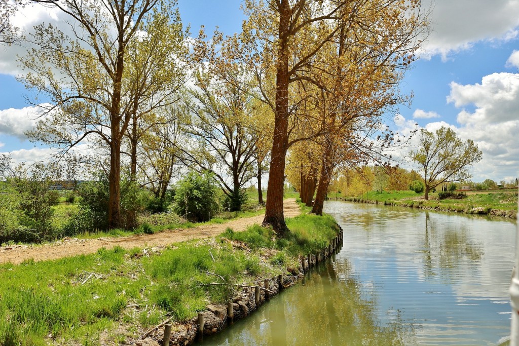 Foto: Canal de Castilla - Medina de Rioseco (Valladolid), España