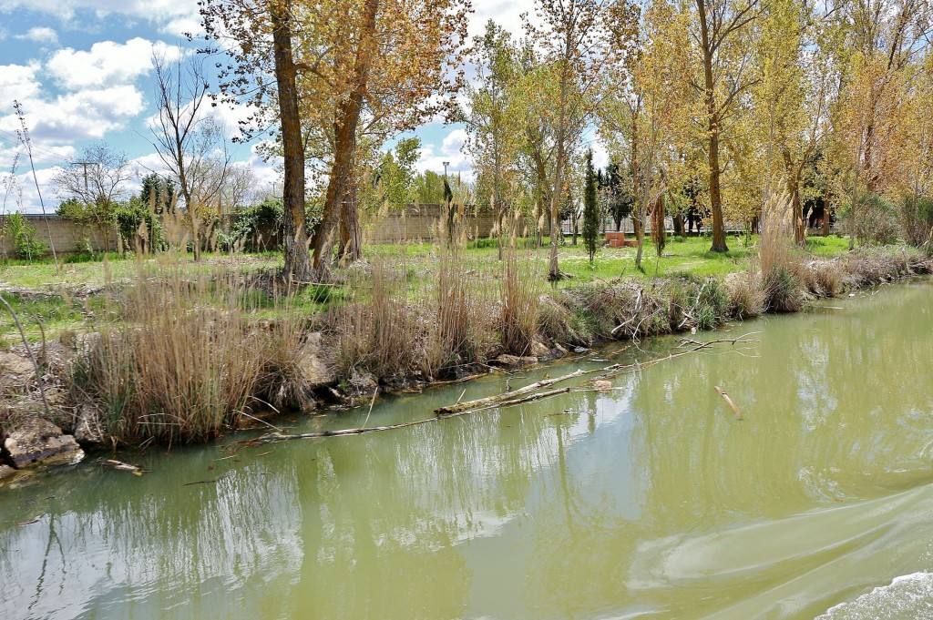 Foto: Canal de Castilla - Medina de Rioseco (Valladolid), España