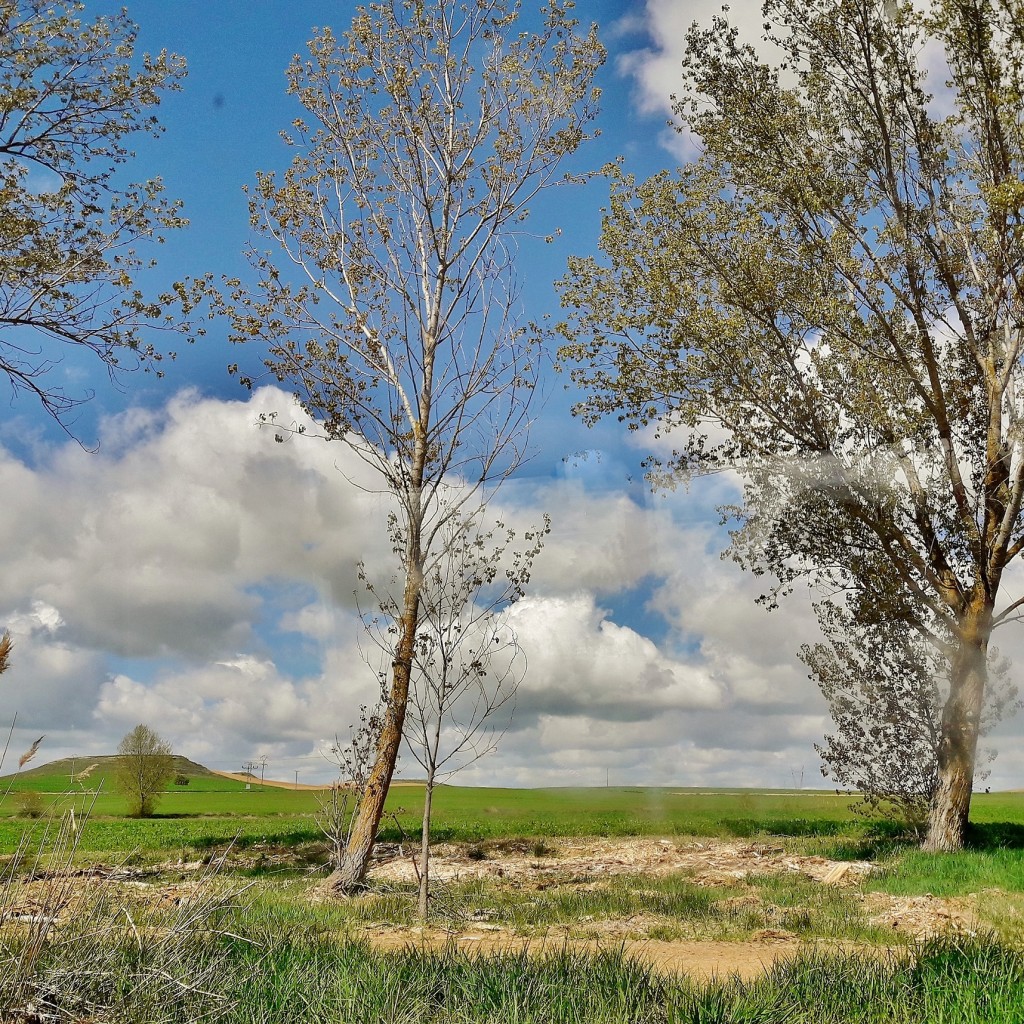 Foto: Canal de Castilla - Medina de Rioseco (Valladolid), España