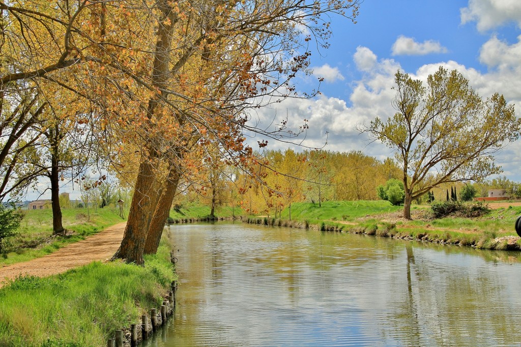 Foto: Canal de Castilla - Medina de Rioseco (Valladolid), España