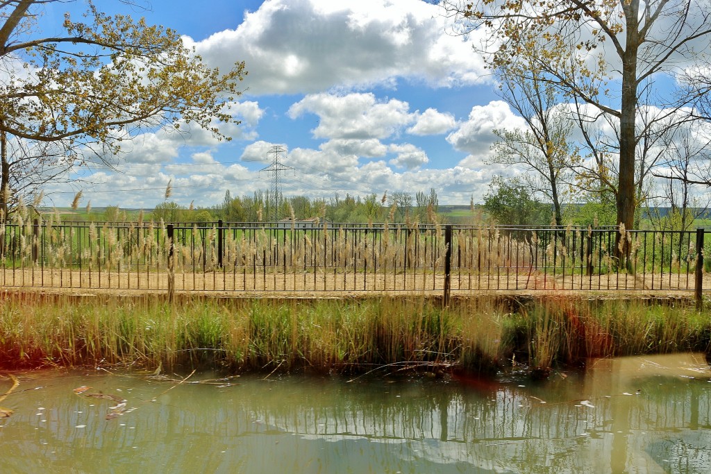 Foto: Canal de Castilla - Medina de Rioseco (Valladolid), España