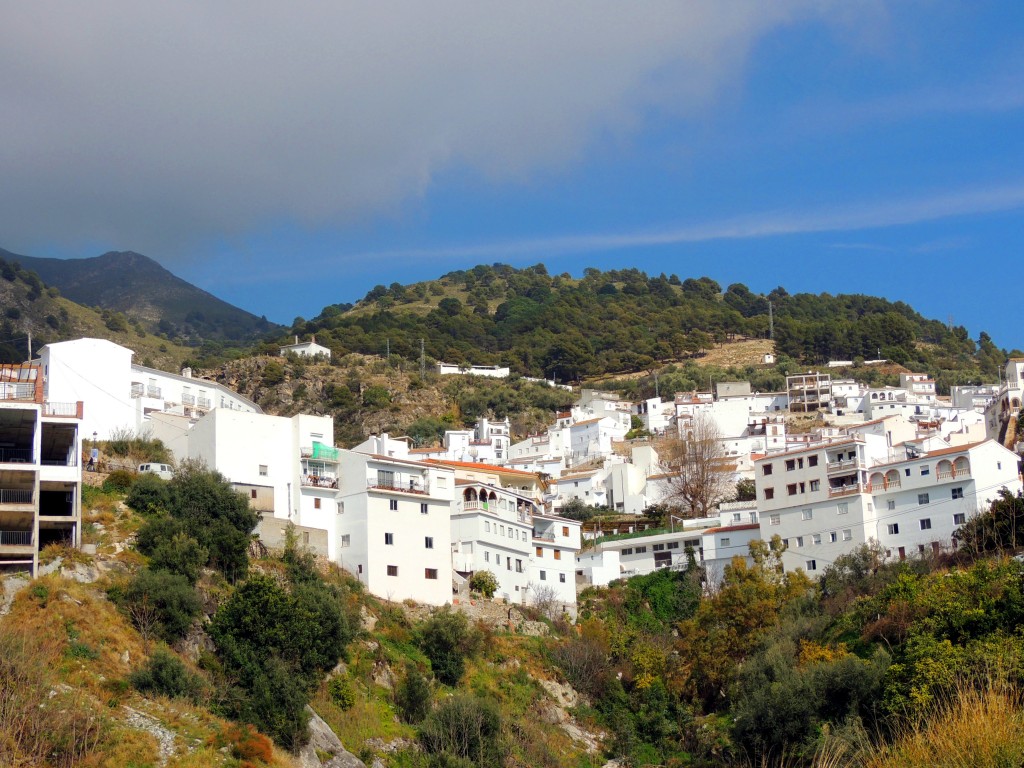 Foto de Canillas de Aceituno (Málaga), España