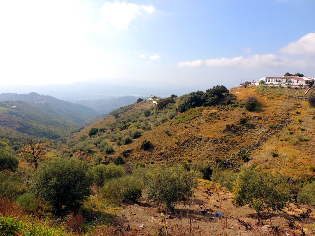 Foto de Canillas de Aceituno (Málaga), España