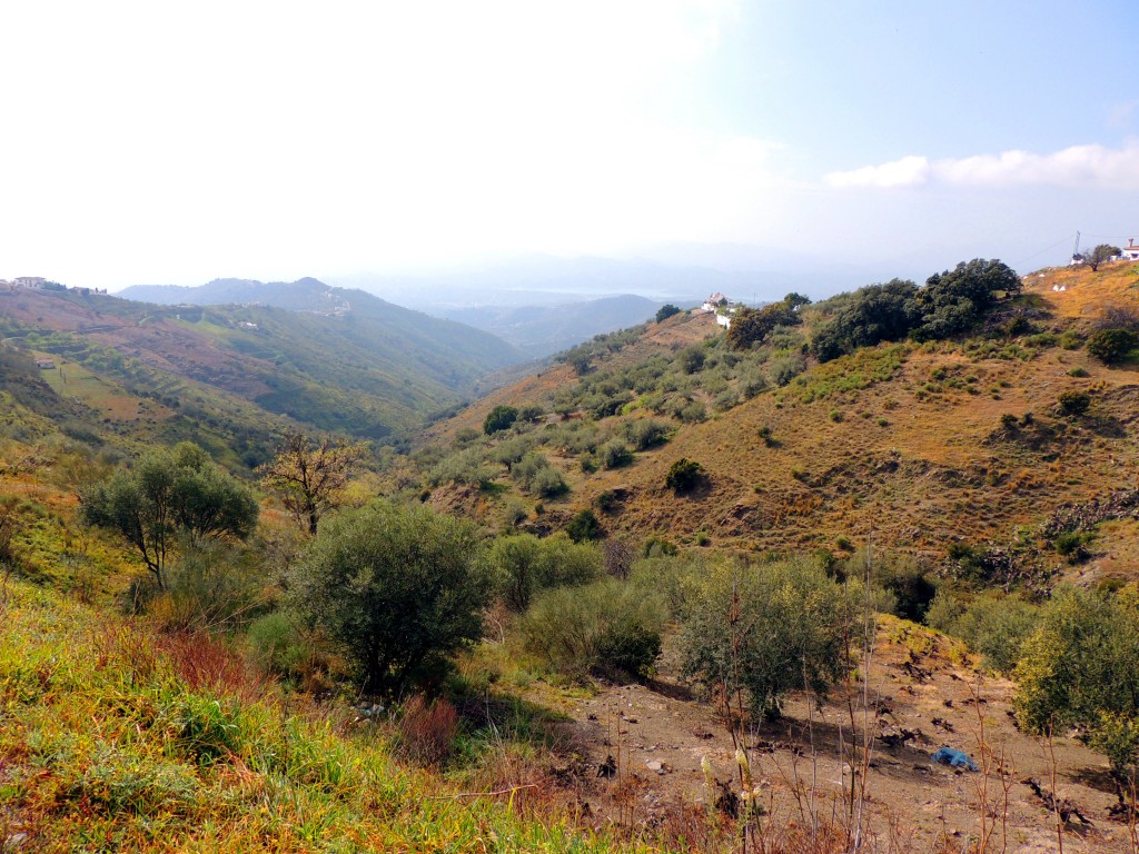 Foto de Canillas de Aceituno (Málaga), España