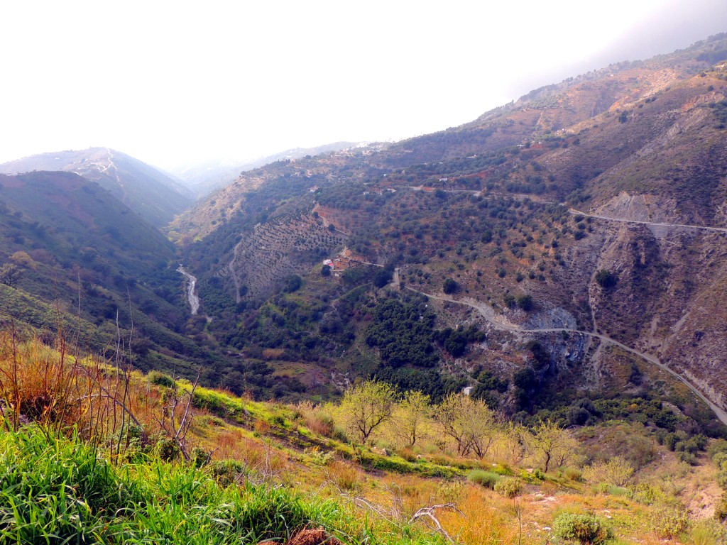 Foto de Canillas de Aceituno (Málaga), España
