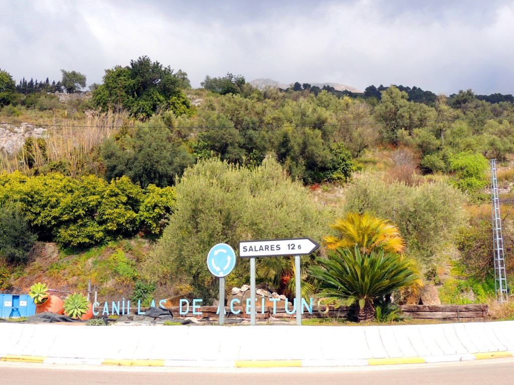 Foto de Canillas de Aceituno (Málaga), España