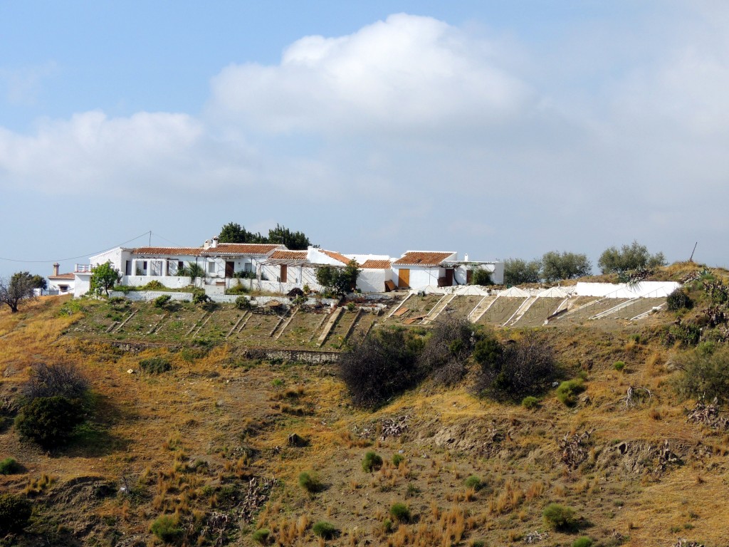 Foto de Canillas de Aceituno (Málaga), España