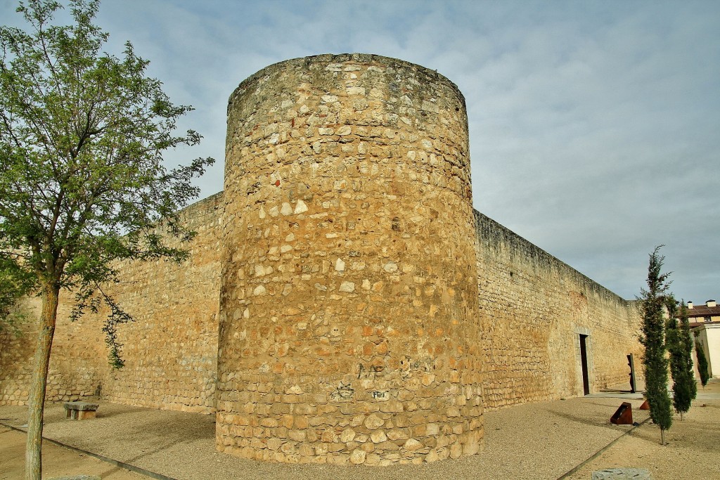 Foto: Alcázar - Toro (Zamora), España