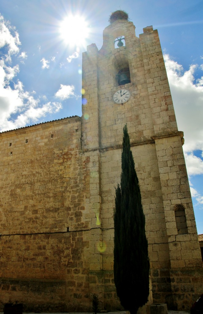 Foto: Iglesia - Montealegre de Campos (Valladolid), España