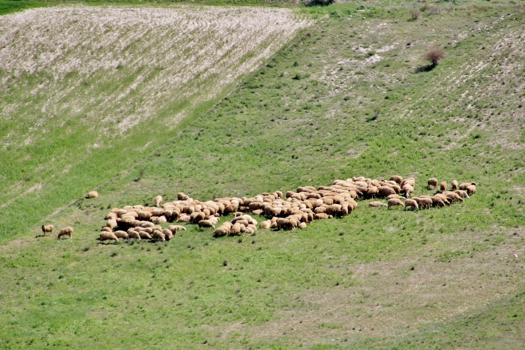 Foto: Vistas - Montealegre de Campos (Valladolid), España