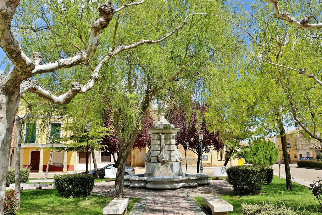 Foto: Centro histórico - Villalón de Campos (Valladolid), España