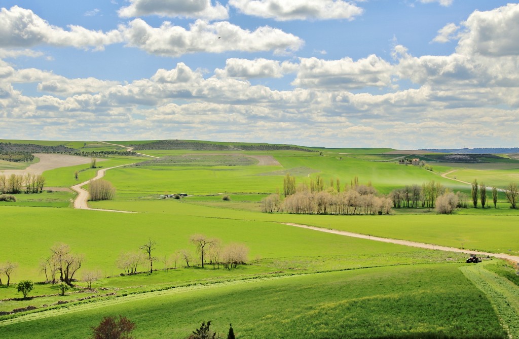 Foto: Vistas - Montealegre de Campos (Valladolid), España